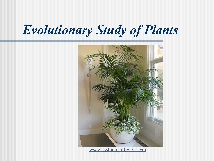 Evolutionary Study of Plants www. assignmentpoint. com 