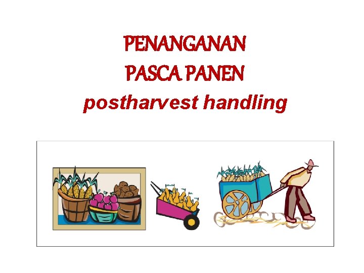 PENANGANAN PASCA PANEN postharvest handling 