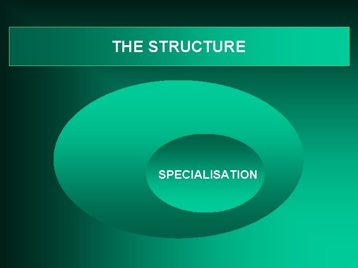 THE STRUCTURE SPECIALISATION 