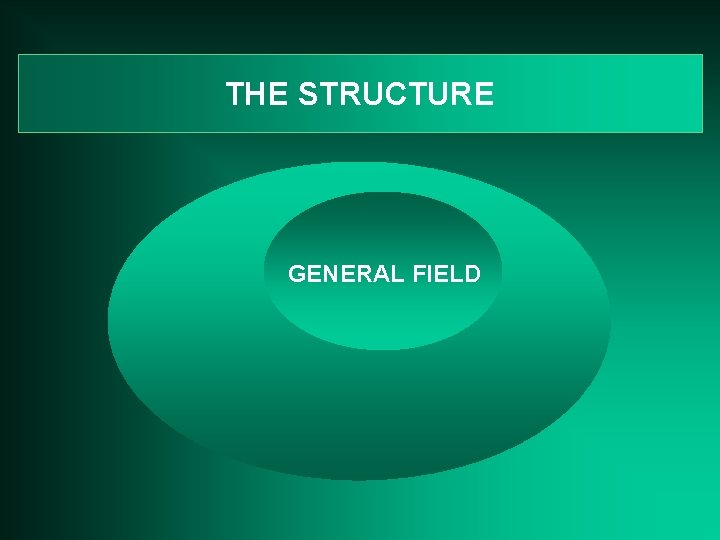 THE STRUCTURE GENERAL FIELD 