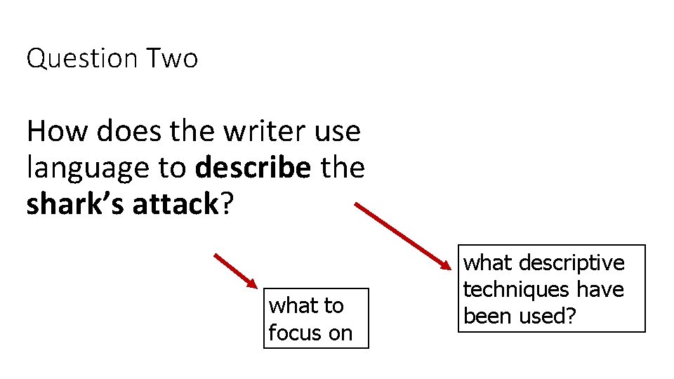 Question Two How does the writer use language to describe the shark’s attack? what