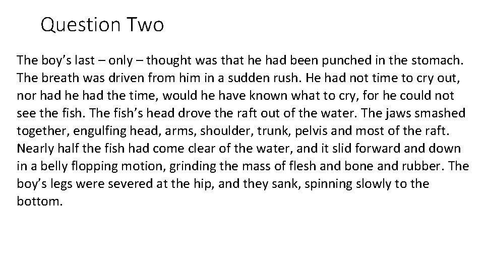 Question Two The boy’s last – only – thought was that he had been