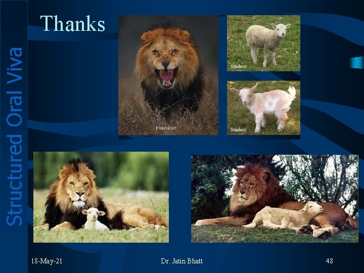 Structured Oral Viva Thanks 18 -May-21 Dr. Jatin Bhatt 48 