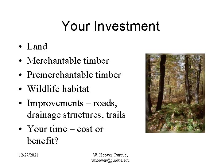 Your Investment • • • Land Merchantable timber Premerchantable timber Wildlife habitat Improvements –