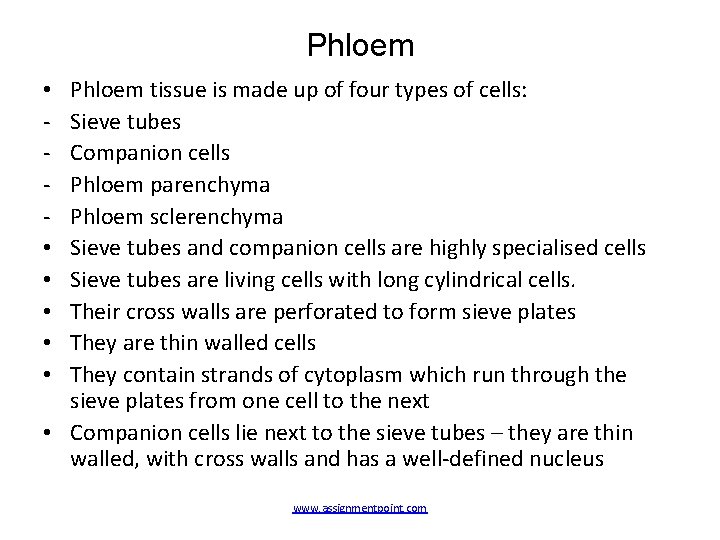 Phloem tissue is made up of four types of cells: Sieve tubes Companion cells