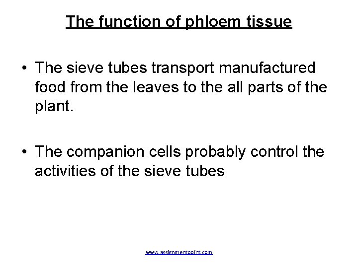 The function of phloem tissue • The sieve tubes transport manufactured food from the