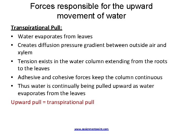 Forces responsible for the upward movement of water Transpirational Pull: • Water evaporates from
