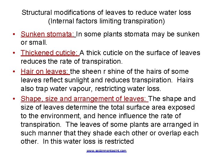 Structural modifications of leaves to reduce water loss (Internal factors limiting transpiration) • Sunken