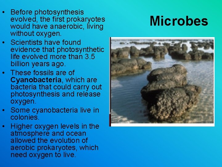 • Before photosynthesis evolved, the first prokaryotes would have anaerobic, living without oxygen. • Before photosynthesis evolved, the first prokaryotes would have anaerobic, living without oxygen.