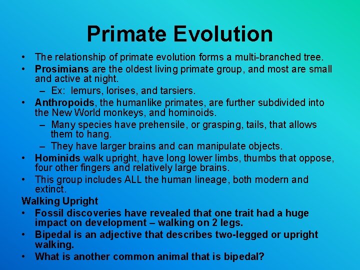 Primate Evolution • The relationship of primate evolution forms a multi-branched tree. • Prosimians Primate Evolution • The relationship of primate evolution forms a multi-branched tree. • Prosimians