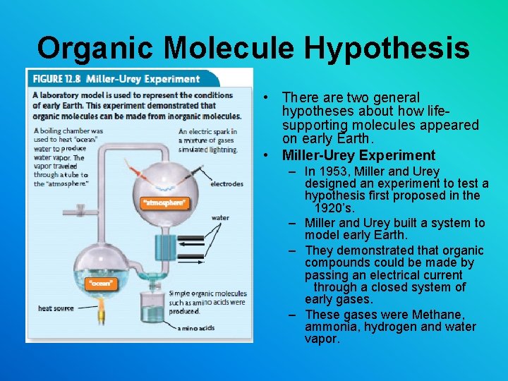 Organic Molecule Hypothesis • There are two general hypotheses about how lifesupporting molecules appeared Organic Molecule Hypothesis • There are two general hypotheses about how lifesupporting molecules appeared