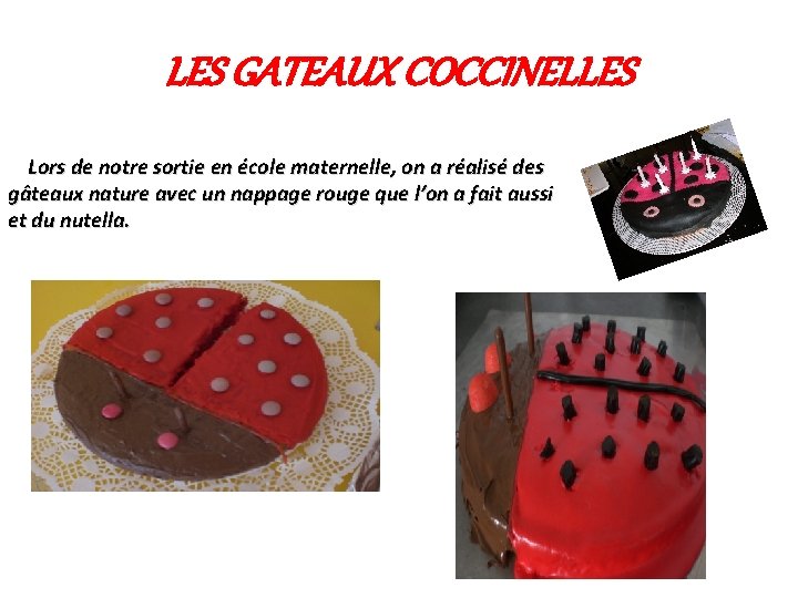 Activit Les Araignes Prsentation De Lactivit Dans Le