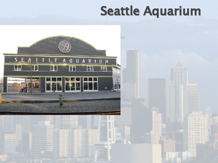 Seattle Aquarium 