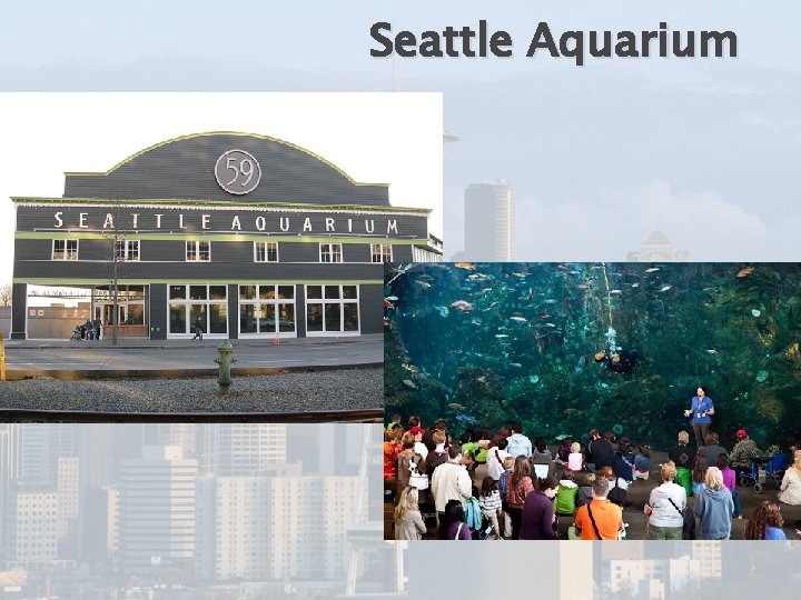 Seattle Aquarium 