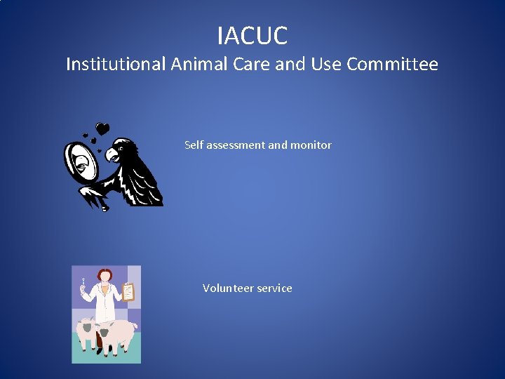 IACUC Institutional Animal Care and Use Committee Self assessment and monitor Volunteer service 