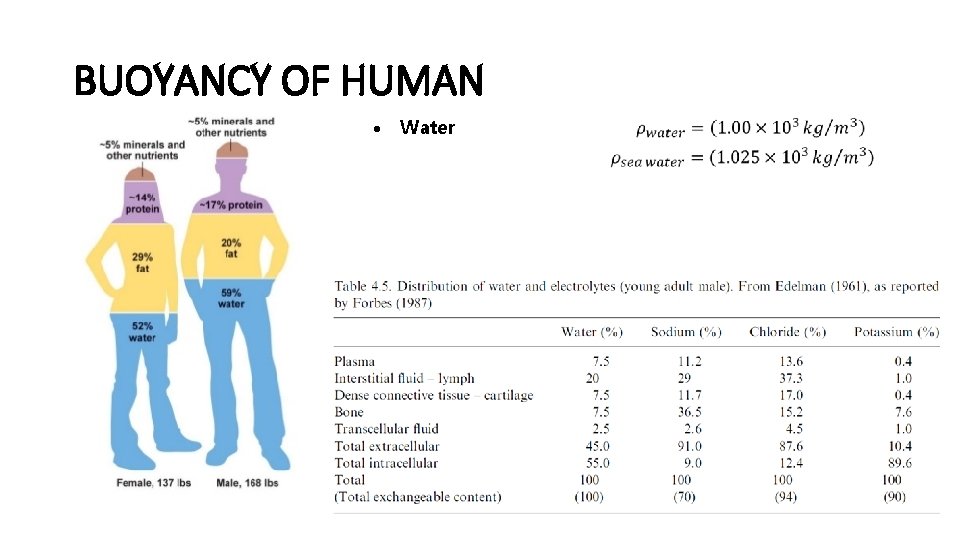 BUOYANCY OF HUMAN Water Fat Muscle Bone and teeth Air 