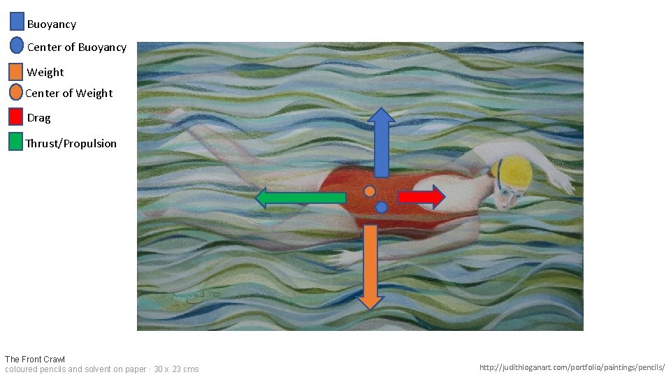 Buoyancy Center of Buoyancy Weight Center of Weight Drag Thrust/Propulsion The Front Crawl coloured