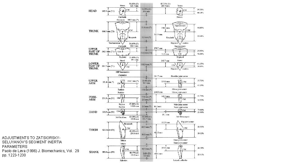 ADJUSTMENTS TO ZATSIORSKYSELUYANOV’S SEGMENT INERTIA PARAMETERS Paolo de Leva (1996) J. Biomechanics, Vol. 29