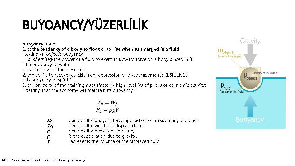 BUYOANCY/YÜZERLİLİK buoyancy noun 1. a: the tendency of a body to float or to