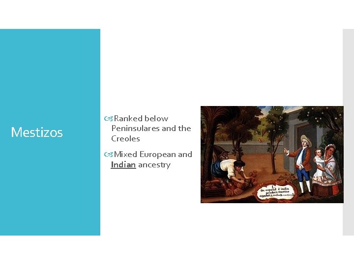 Mestizos Ranked below Peninsulares and the Creoles Mixed European and Indian ancestry 