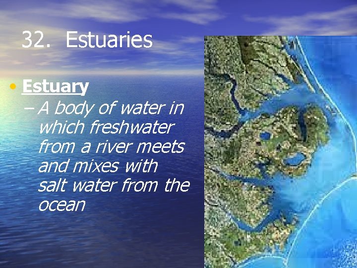 32. Estuaries • Estuary – A body of water in which freshwater from a