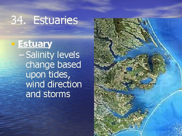 34. Estuaries • Estuary – Salinity levels change based upon tides, wind direction and