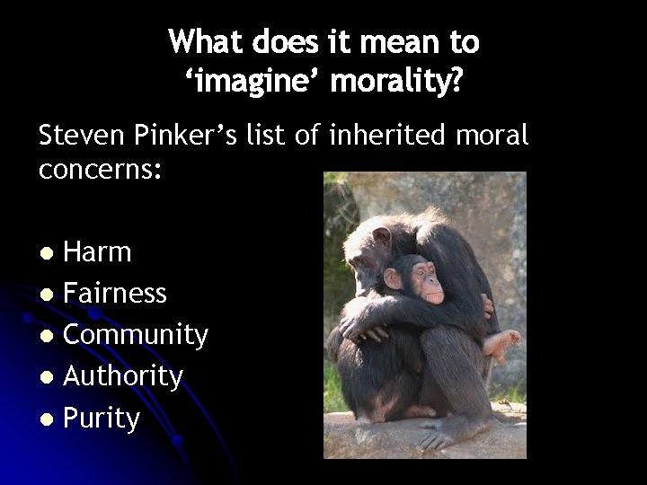 What does it mean to ‘imagine’ morality? Steven Pinker’s list of inherited moral concerns: What does it mean to ‘imagine’ morality? Steven Pinker’s list of inherited moral concerns: