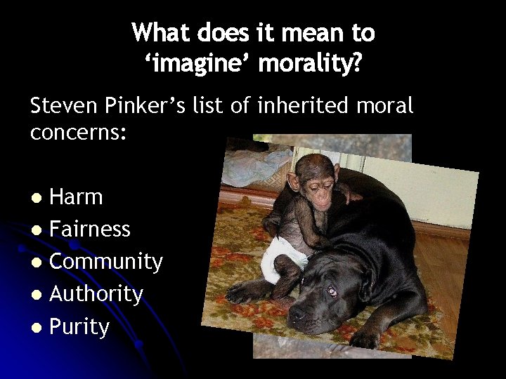 What does it mean to ‘imagine’ morality? Steven Pinker’s list of inherited moral concerns: What does it mean to ‘imagine’ morality? Steven Pinker’s list of inherited moral concerns: