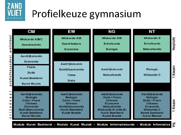 Profielkeuze gymnasium 