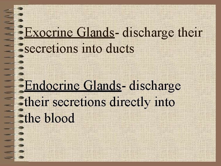 Exocrine Glands- discharge their secretions into ducts Endocrine Glands- discharge their secretions directly into