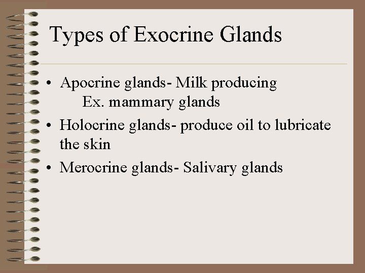 Types of Exocrine Glands • Apocrine glands- Milk producing Ex. mammary glands • Holocrine
