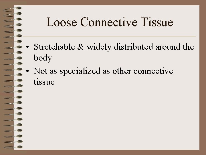 Loose Connective Tissue • Stretchable & widely distributed around the body • Not as