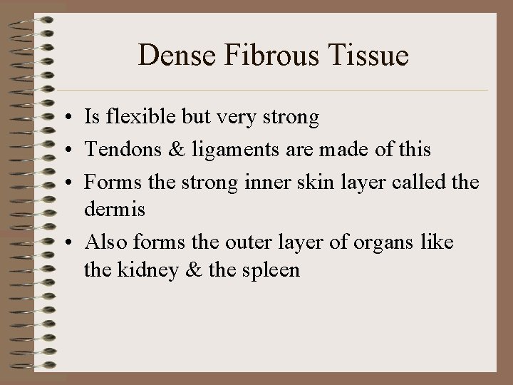 Dense Fibrous Tissue • Is flexible but very strong • Tendons & ligaments are