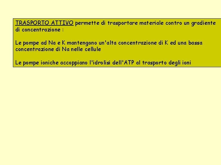 TRASPORTO ATTIVO permette di trasportare materiale contro un gradiente di concentrazione : Le pompe