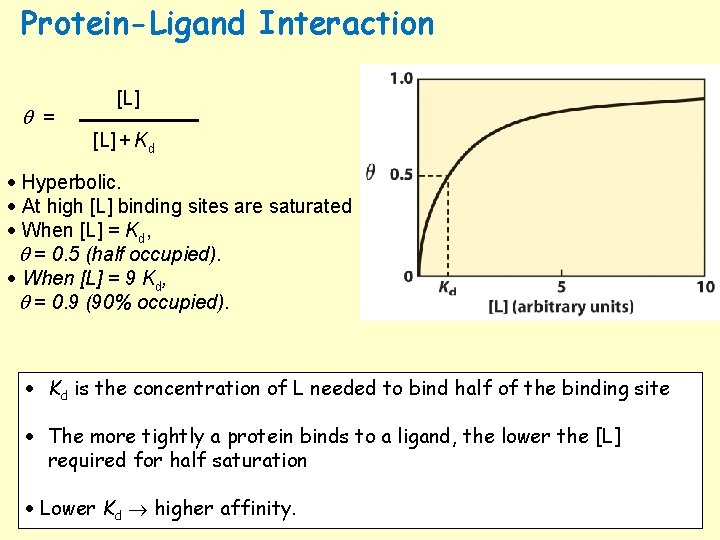 Protein-Ligand Interaction = [L] + Kd Hyperbolic. At high [L] binding sites are saturated