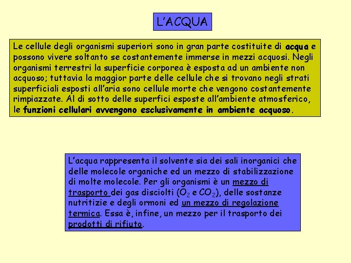 L’ACQUA Le cellule degli organismi superiori sono in gran parte costituite di acqua e