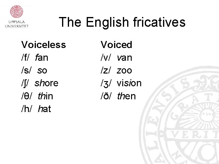 The English fricatives Voiceless /f/ fan /s/ so /ʃ/ shore /θ/ thin /h/ hat