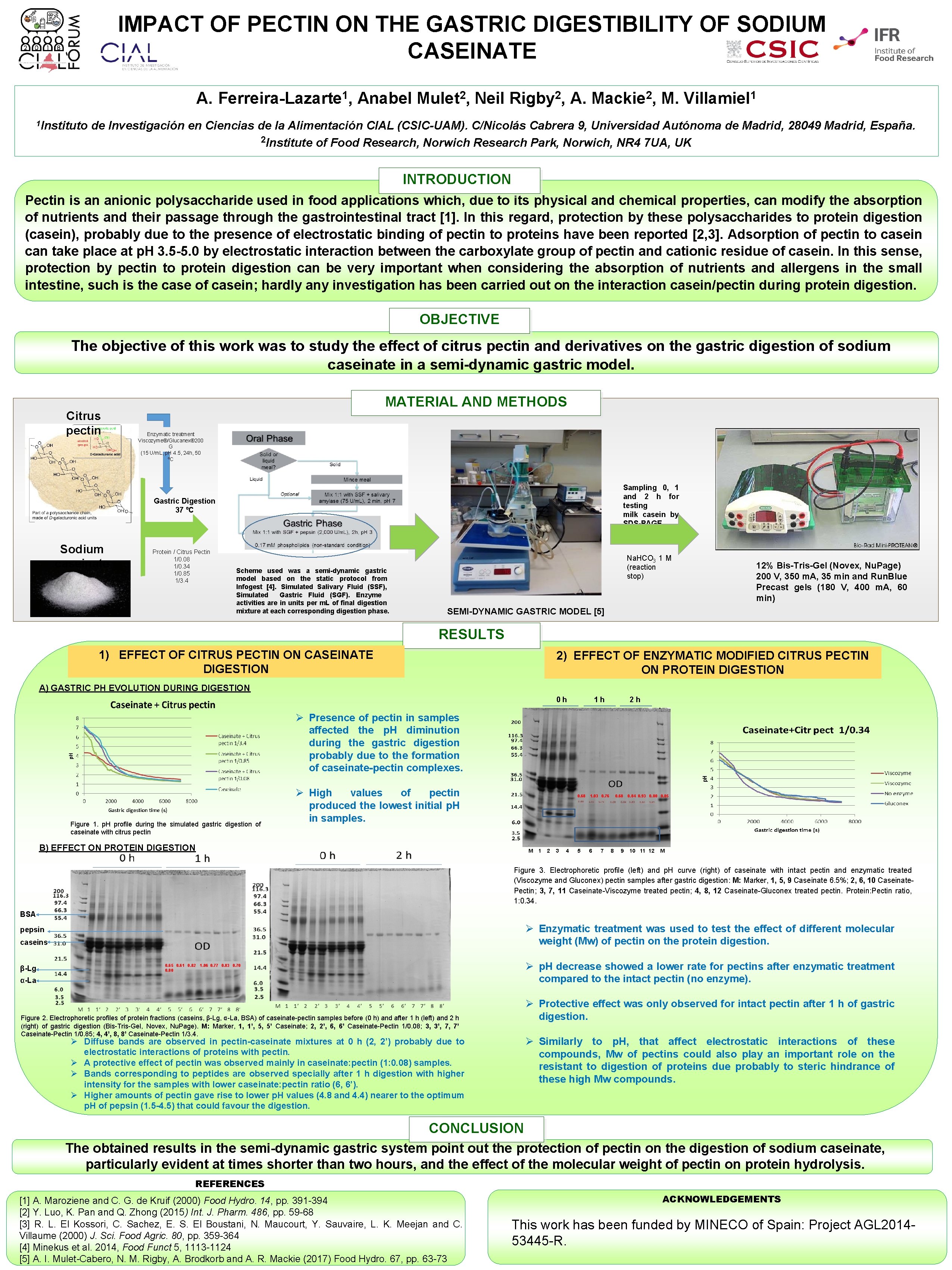 IMPACT OF PECTIN ON THE GASTRIC DIGESTIBILITY OF SODIUM CASEINATE A. Ferreira-Lazarte 1, Anabel