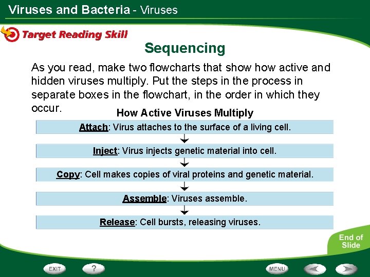 Viruses and Bacteria - Viruses Sequencing As you read, make two flowcharts that show