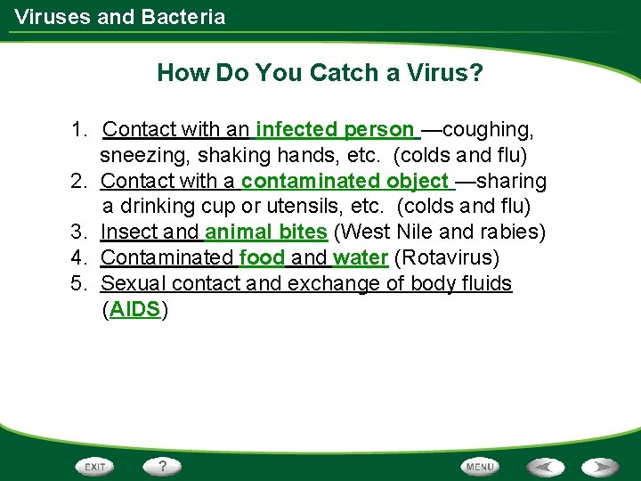 Viruses and Bacteria How Do You Catch a Virus? 1. Contact with an infected
