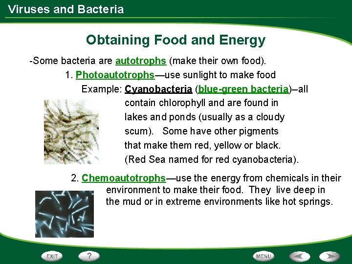 Viruses and Bacteria Obtaining Food and Energy -Some bacteria are autotrophs (make their own