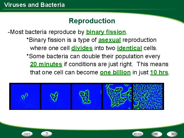 Viruses and Bacteria Reproduction -Most bacteria reproduce by binary fission. *Binary fission is a