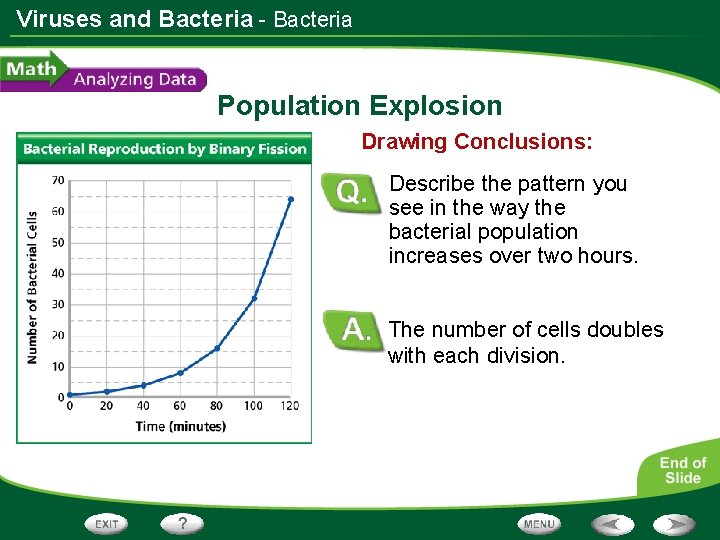 Viruses and Bacteria - Bacteria Population Explosion Drawing Conclusions: Describe the pattern you see