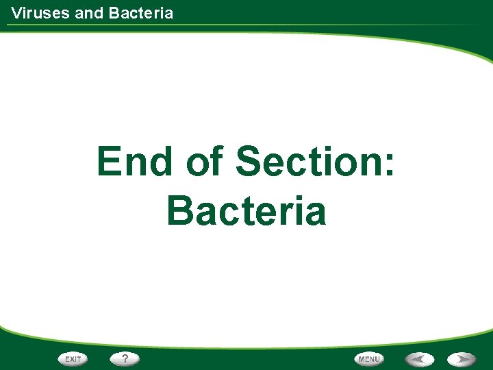 Viruses and Bacteria End of Section: Bacteria 