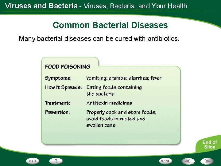 Viruses and Bacteria - Viruses, Bacteria, and Your Health Common Bacterial Diseases Many bacterial