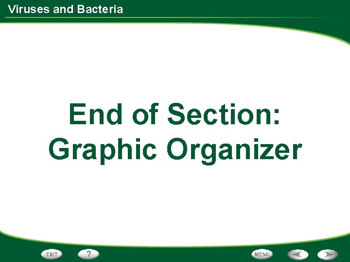 Viruses and Bacteria End of Section: Graphic Organizer 