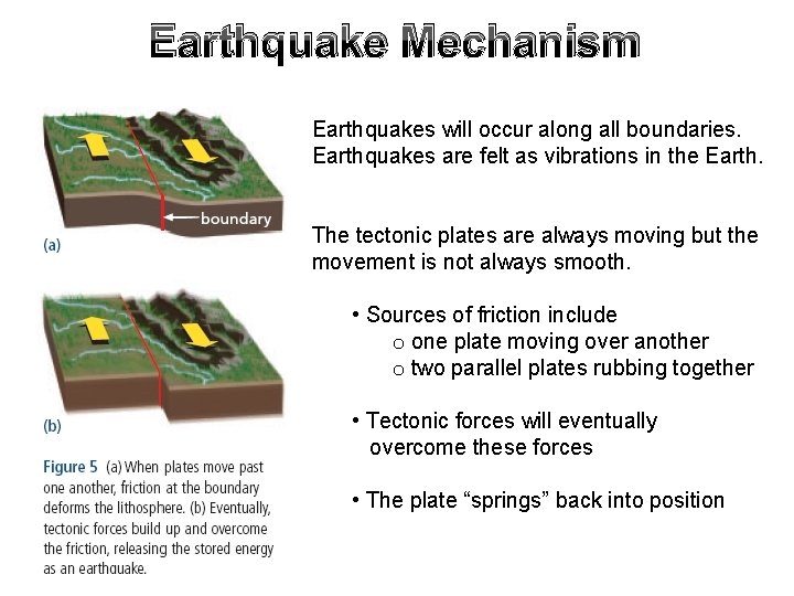 Earthquake Mechanism Earthquakes will occur along all boundaries. Earthquakes are felt as vibrations in