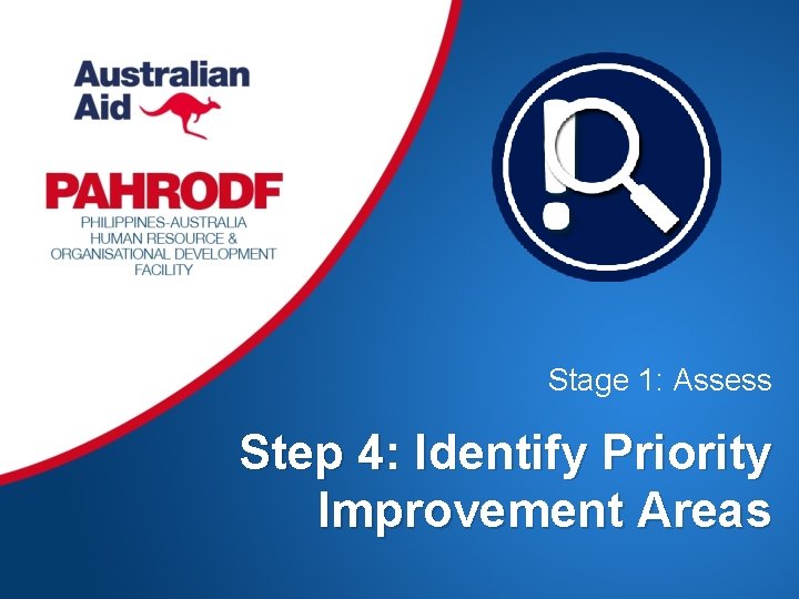 Stage 1: Assess Step 4: Identify Priority Improvement Areas 