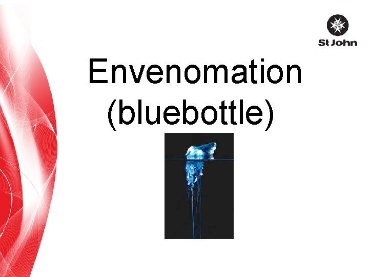 Envenomation (bluebottle) 