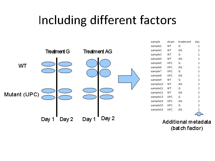 Including different factors Treatment G Treatment AG Day 1 Day 2 WT Mutant (UPC) Including different factors Treatment G Treatment AG Day 1 Day 2 WT Mutant (UPC)